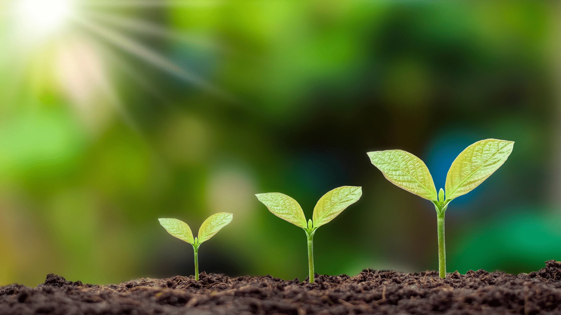 MÔ HÌNH VẬN HÀNH